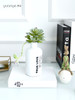 仿真绿植花艺假花餐桌摆件客厅小摆设盆栽简约多肉家居茶室装饰 商品缩略图3
