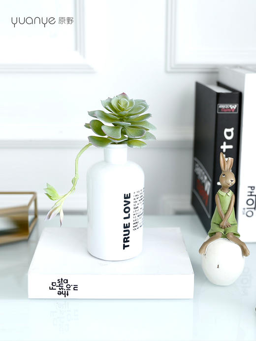 仿真绿植花艺假花餐桌摆件客厅小摆设盆栽简约多肉家居茶室装饰 商品图3