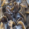 雨琪园 东北有机黑木耳  有机玉木耳  基地直供 良心食材看得见 商品缩略图2
