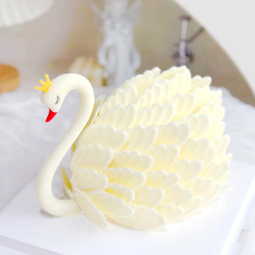 白天鹅 商品图0