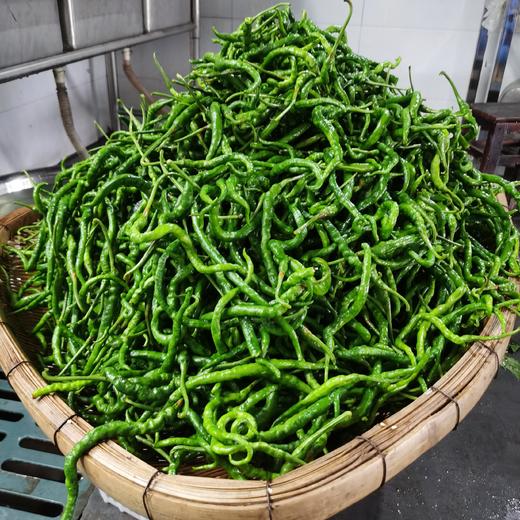 烧椒酱 200g（生产日期2025年11月，保质期9个月） 商品图3