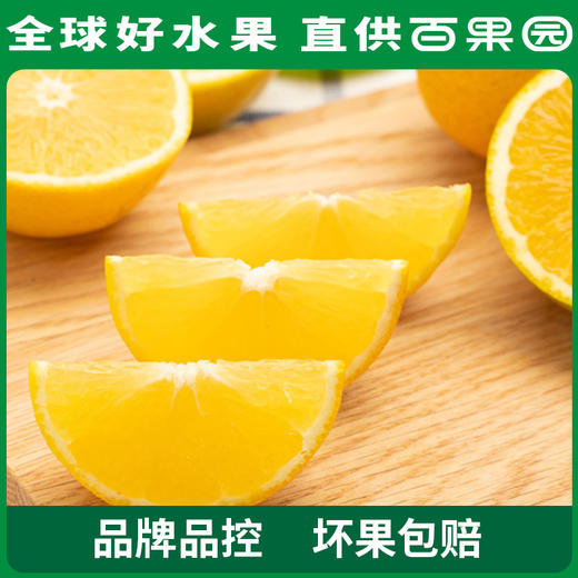 PAGODA百果园 A级-麻阳冰糖橙20粒礼盒装 商品图3
