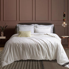 黛富妮秀妍保暖蚕丝被冬被