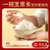 北纯 五常大米礼盒装  1斤*10 （10斤装）公司福利 优质一等10斤 /粮油调味 /米 /稻花香米 商品缩略图1