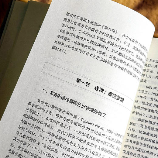 对话经典 20世纪西方美学经典论著导读 王茜 美学流派 商品图7