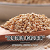 悦谷百味 熟白芝麻200g（香醇饱满 低温炒制 免洗干吃 炒熟芝麻粒 杂粮） /粮油调味 /杂粮 /谷米类 商品缩略图1