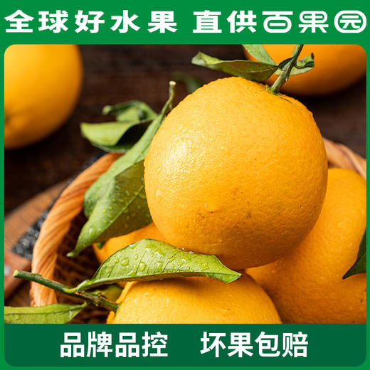 PAGODA百果园 赣南脐橙（中）4.5斤彩箱装 商品图3