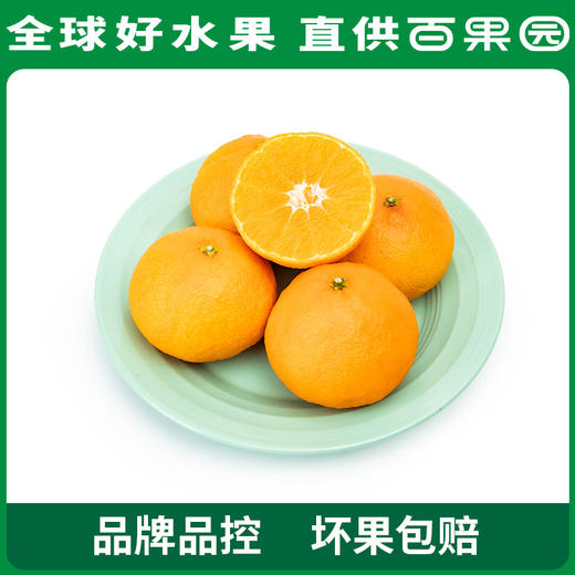 PAGODA百果园 招牌-玉俏红美人蜜柑（中）15粒礼盒装 商品图1