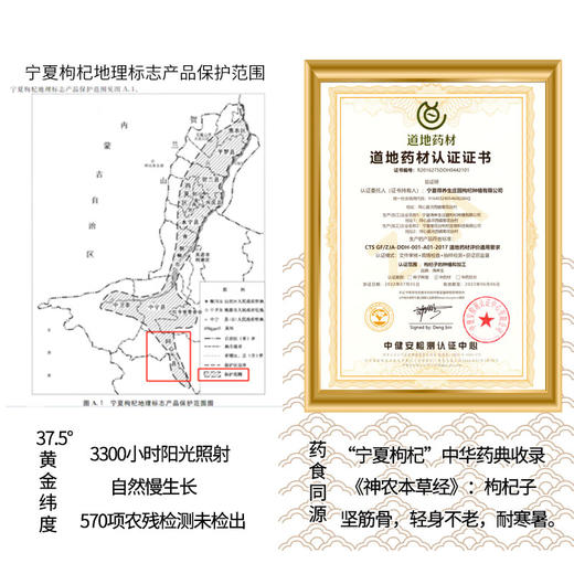 得养生有机枸杞原浆鲜枸杞原浆无添加熬夜滋补养生包邮 商品图3