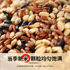 悦谷百味五色糙米5斤（红米黑米燕麦米荞麦米糙米杂粮粗粮 大米伴侣） /粮油调味 /杂粮 /谷米类 商品缩略图3