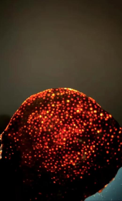 【陈皮】2021东甲原枝大红（含包装250克） 商品图3