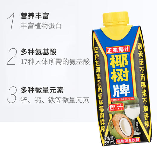椰树 椰汁正宗椰树牌椰子汁饮料 330ml*10盒 礼盒装 商品图2