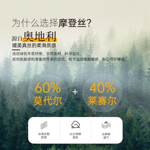 雅芳婷新款摩登丝床笠款睡之锦囊五件套轻奢高级真丝被套套件床品 商品图2