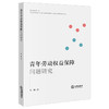 青年劳动权益保障问题研究 李勤著 法律出版社 商品缩略图0