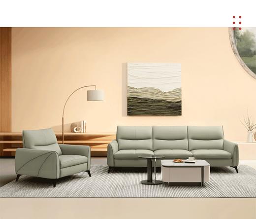 森语皮沙发/8215 商品图1