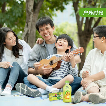 康师傅 青梅绿茶 330ml*12瓶 果味饮料饮品 便携整箱装 热门商品 商品图2