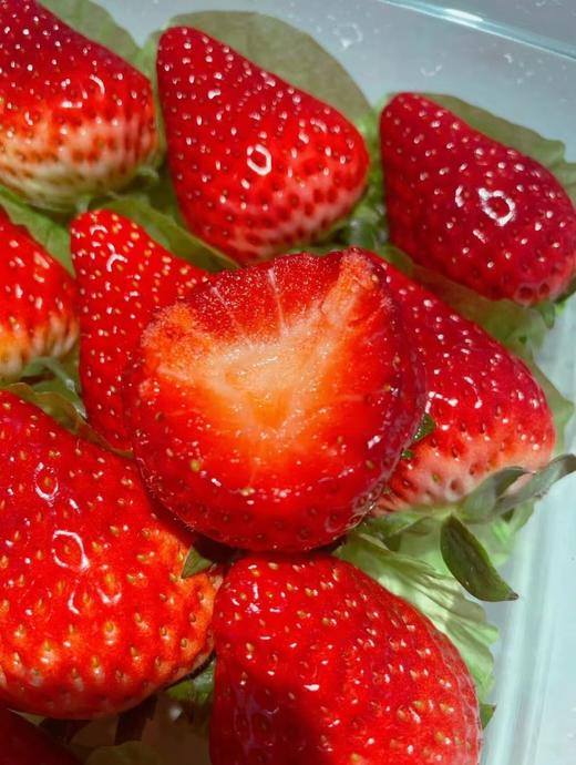 【分仓直发包邮】攀枝花露天草莓3斤中大果 商品图1