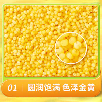 十月稻田 内蒙古黄小米 2斤 养胃早餐煮粥 五谷杂粮 低脂粗粮 米油醇厚 /粮油调味 /杂粮 /谷米类 商品图6