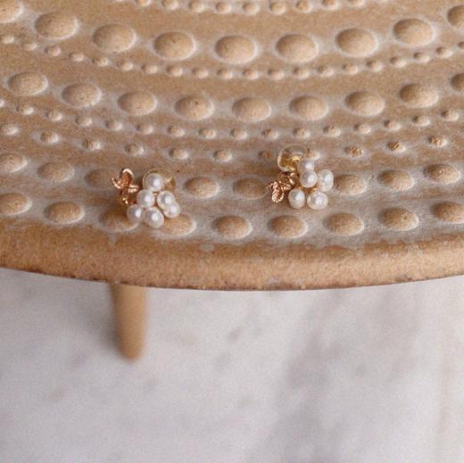 LHWINDSOR 珍珠小葡萄耳钉耳环女气质百搭秋冬耳饰 商品图7