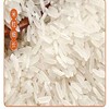 鑫稻田丝苗米5kg 商品缩略图3