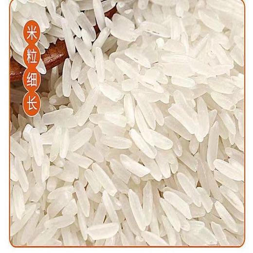 鑫稻田丝苗米5kg 商品图3