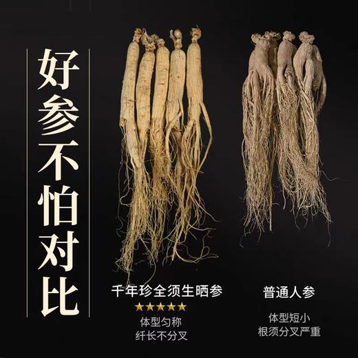 东北长白山人参礼盒  单支独立包装 商品图2