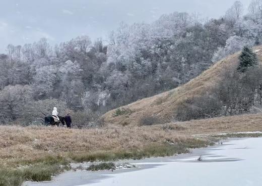 【亲子徒步】正当玩雪时！12.29甲尔猛措、熊猫坪！168元起，包含一日活动+大巴+保险，4岁以上亲子家庭可报，车辆中转费30元/人需现场自费 商品图6