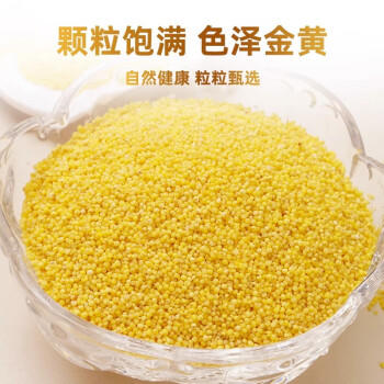 野三坡内蒙古黄小米2斤罐装（内蒙古小米粥杂粮粥 农家粥米粟米） /粮油调味 /杂粮 /谷米类 商品图1