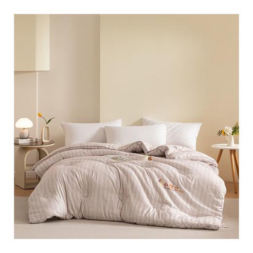 小暖芯pro加厚冬被 商品图0