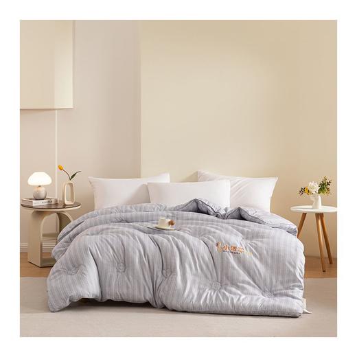 小暖芯pro加厚冬被 商品图1