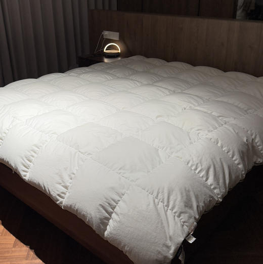 限时:立减300元【SIDANDA鹅绒被】舒缓蓬松 蓬松度800+ 4A级95%白鹅绒 清洁度1000+抗菌可水洗，春秋被/冬被【顺丰发出后个人原因退款退回需支付实际产生拦截费】 商品图9