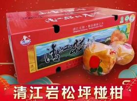 清江椪柑精品果礼盒装当季新鲜水果现摘现发精选80以上精品大果