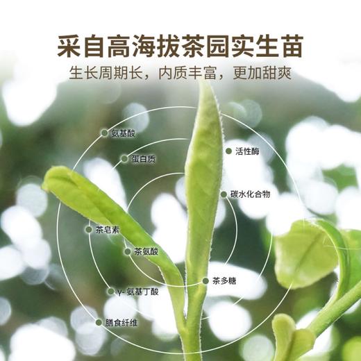 茶妈妈 滇红金针单泡礼盒装 100g*10盒*件 商品图4