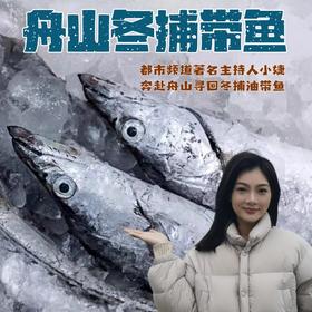 热销「自营」正宗舟山带鱼 ( 通过放射性安全复检)