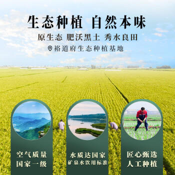 裕道府 生态 五常大米 东北大米 5kg/袋 10斤 香米  团购 /粮油调味 /米 /稻花香米 商品图5
