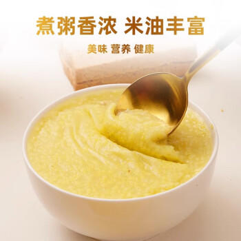 野三坡内蒙古黄小米2斤罐装（内蒙古小米粥杂粮粥 农家粥米粟米） /粮油调味 /杂粮 /谷米类 商品图3