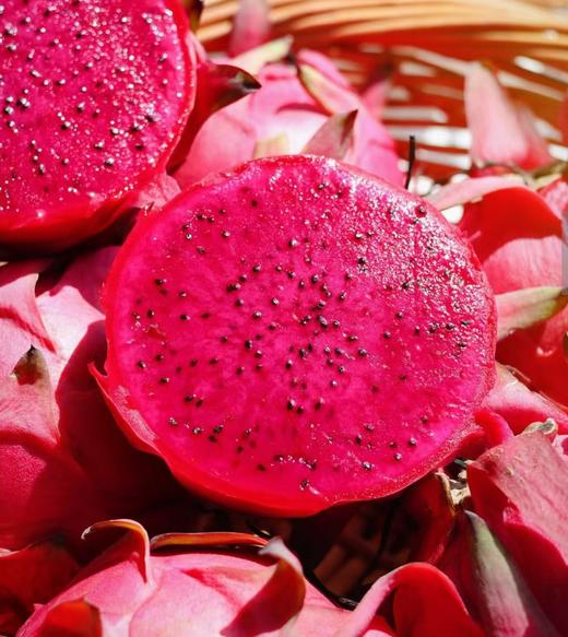 金都一号红心火龙果 商品图2