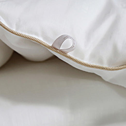 黛富妮秀妍保暖蚕丝被冬被 商品图4