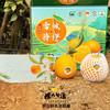 雷波脐橙 商品缩略图2