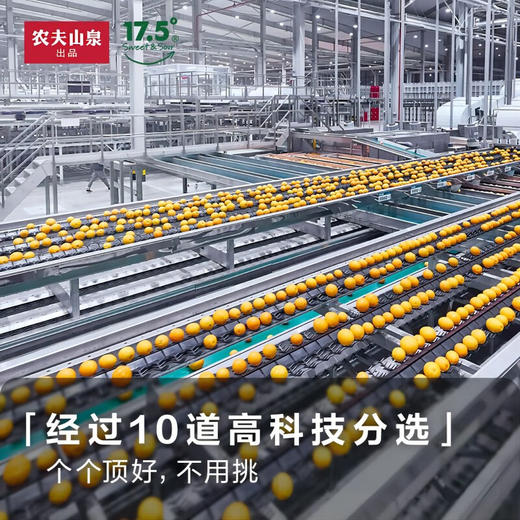 （C）农夫山泉17.5度赣南脐橙6斤 商品图3