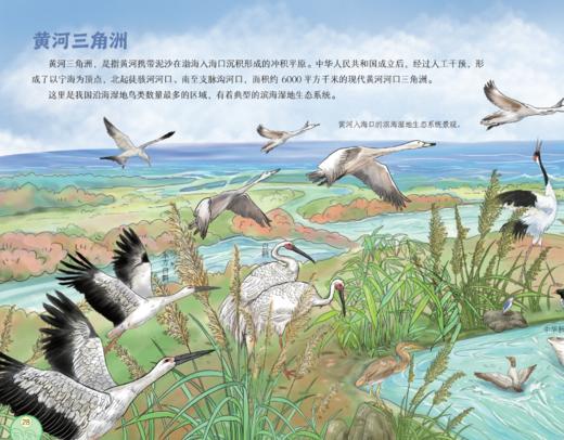 《万里江山的中国力量》（共8册） 商品图6