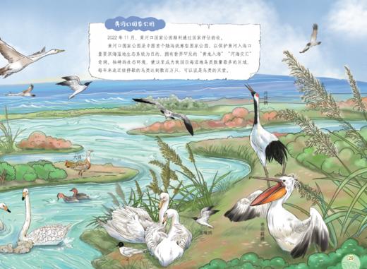 《万里江山的中国力量》（共8册） 商品图7