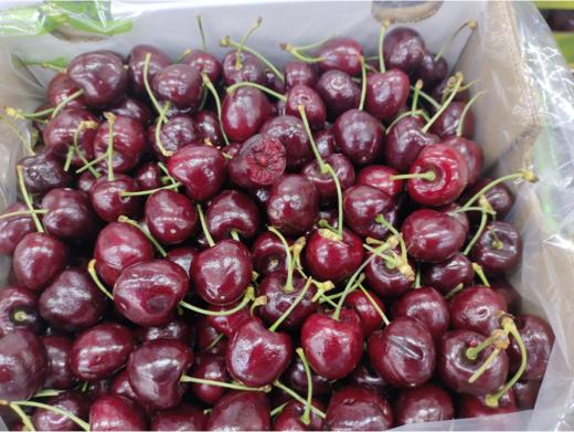 白箱2JD五斤车厘子一箱 商品图2