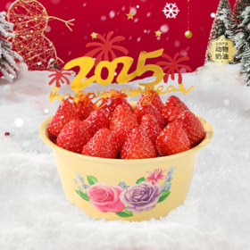 【一盆草莓】小红书网红复古搪瓷盆草莓蛋糕，新鲜现做满载深情厚意的时光印记（赣州幸福西饼）