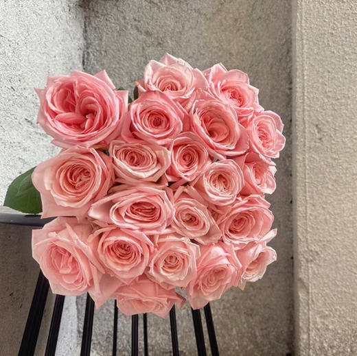 玫瑰·粉荔枝 商品图1