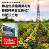 满疆红 食用油 小榨原香葵花籽油238ml*12整箱装 小巧便携不浪费 /粮油调味 /食用油 /葵花籽油 商品缩略图4