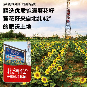 满疆红 食用油 小榨原香葵花籽油238ml*12整箱装 小巧便携不浪费 /粮油调味 /食用油 /葵花籽油 商品图4