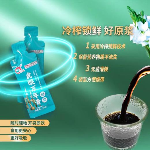 丰义虎眼万年青原浆 独立包装 300g（20g/袋*15袋） 商品图1