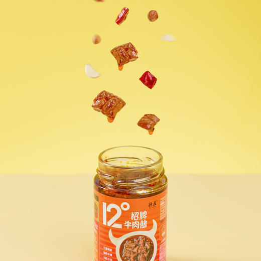 德庄杏鲍菇拌饭酱12°（工作日发货） 商品图2