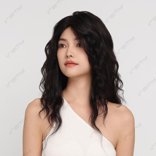 RPH-L23085HQ 商品图1